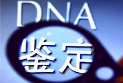 永州哪个医院能办理DNA鉴定