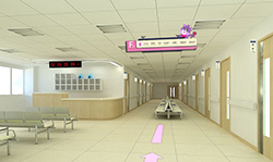 永州哪家医院可以做血缘检测，永州医院做亲子鉴定需要什么流程
